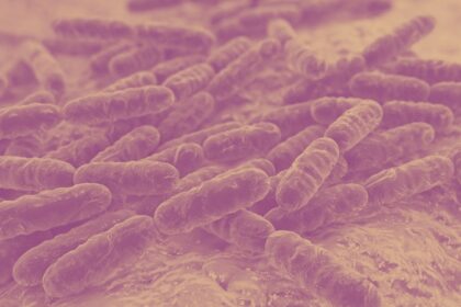 lactobacillus rhamnosus candida